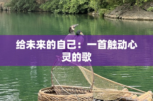 给未来的自己：一首触动心灵的歌