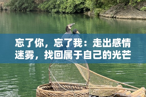 忘了你，忘了我：走出感情迷雾，找回属于自己的光芒