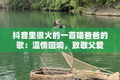抖音里很火的一首唱爸爸的歌：温情回响，致敬父爱