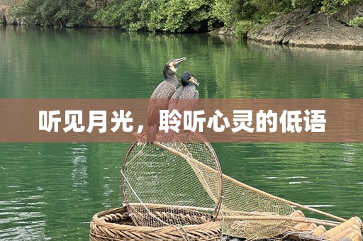 听见月光，聆听心灵的低语
