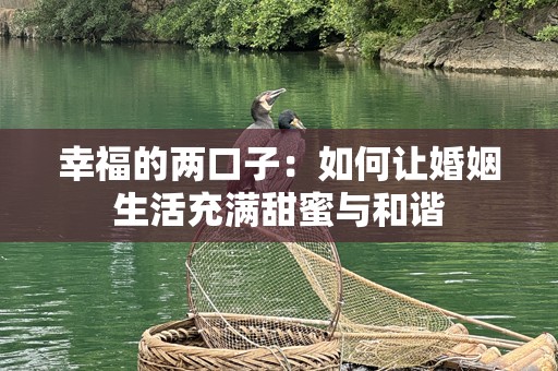 幸福的两口子：如何让婚姻生活充满甜蜜与和谐
