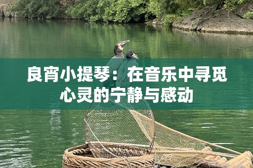 良宵小提琴：在音乐中寻觅心灵的宁静与感动