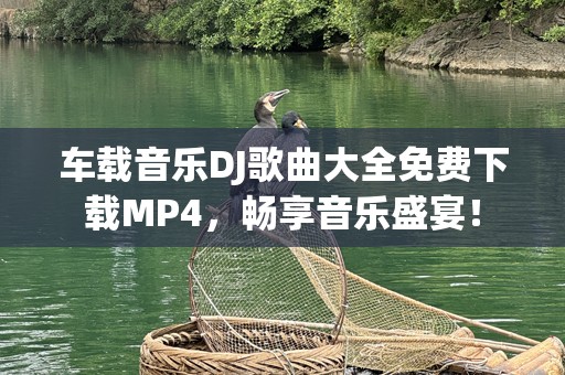 车载音乐DJ歌曲大全免费下载MP4，畅享音乐盛宴！