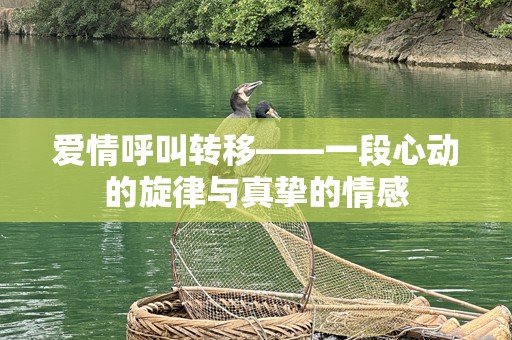 爱情呼叫转移——一段心动的旋律与真挚的情感