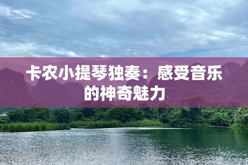 卡农小提琴独奏：感受音乐的神奇魅力