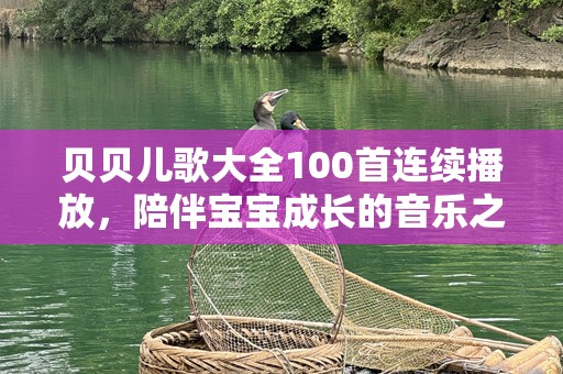 贝贝儿歌大全100首连续播放，陪伴宝宝成长的音乐之旅