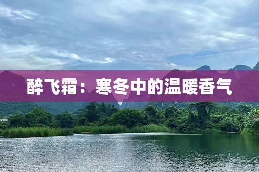 醉飞霜：寒冬中的温暖香气