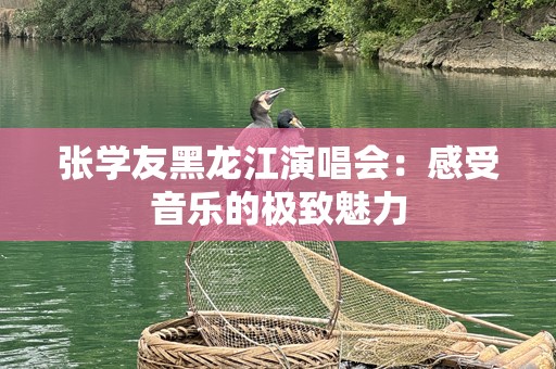 张学友黑龙江演唱会：感受音乐的极致魅力