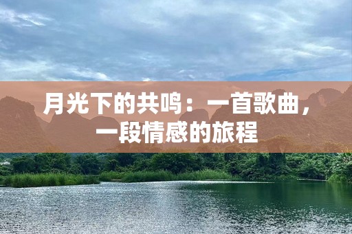月光下的共鸣：一首歌曲，一段情感的旅程