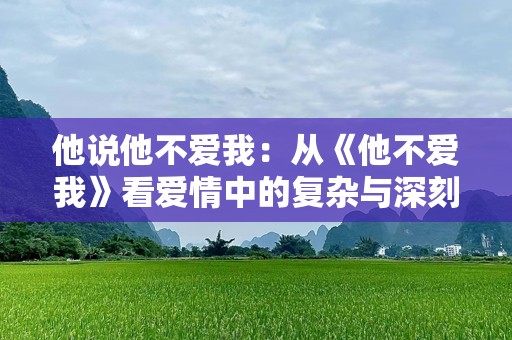 他说他不爱我：从《他不爱我》看爱情中的复杂与深刻