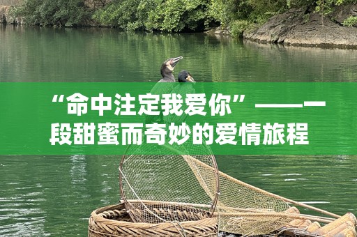 “命中注定我爱你”——一段甜蜜而奇妙的爱情旅程