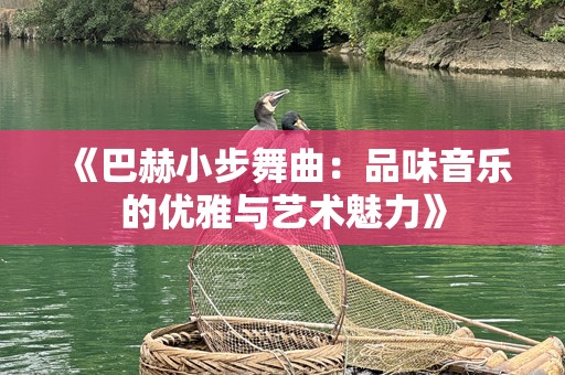 《巴赫小步舞曲：品味音乐的优雅与艺术魅力》