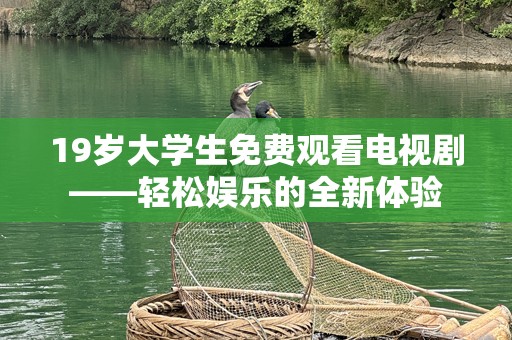 19岁大学生免费观看电视剧——轻松娱乐的全新体验