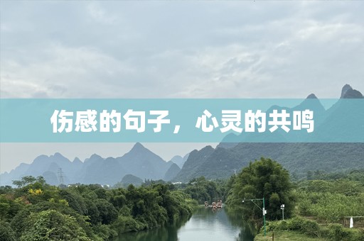 伤感的句子，心灵的共鸣