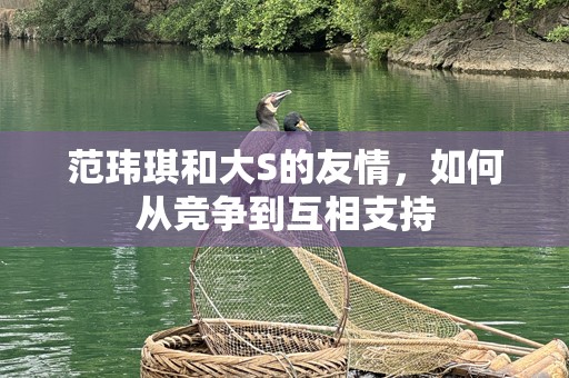 范玮琪和大S的友情，如何从竞争到互相支持
