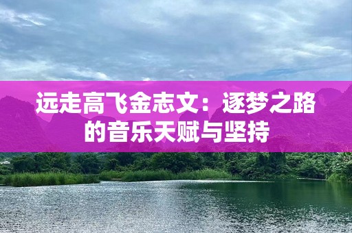 远走高飞金志文：逐梦之路的音乐天赋与坚持