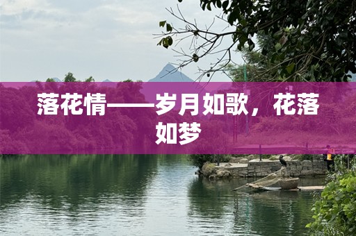 落花情——岁月如歌，花落如梦