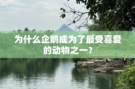 为什么企鹅成为了最受喜爱的动物之一？