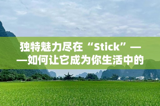 独特魅力尽在“Stick”——如何让它成为你生活中的必备好物