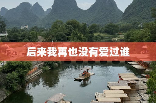 后来我再也没有爱过谁