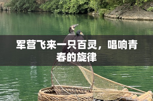 军营飞来一只百灵，唱响青春的旋律