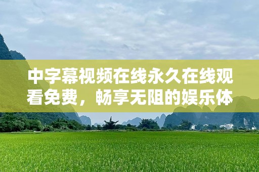 中字幕视频在线永久在线观看免费，畅享无阻的娱乐体验