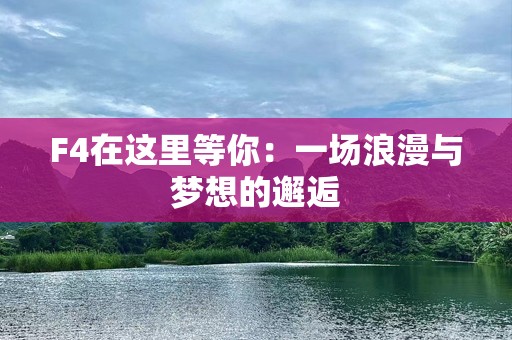 F4在这里等你：一场浪漫与梦想的邂逅