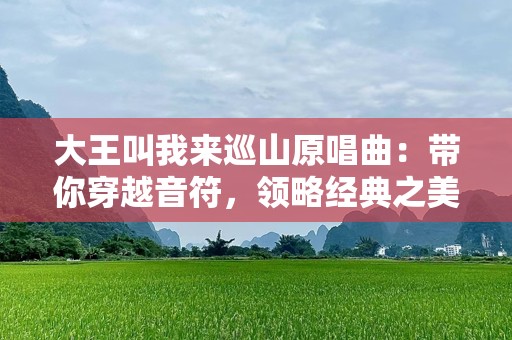 大王叫我来巡山原唱曲：带你穿越音符，领略经典之美