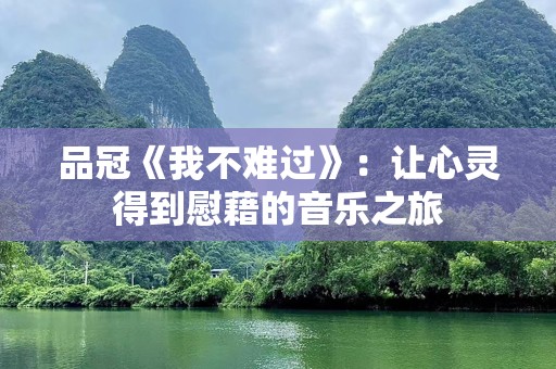 品冠《我不难过》：让心灵得到慰藉的音乐之旅
