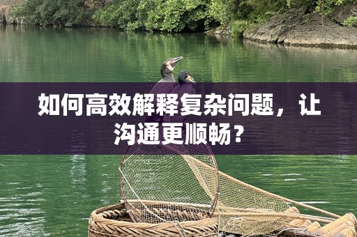 如何高效解释复杂问题，让沟通更顺畅？