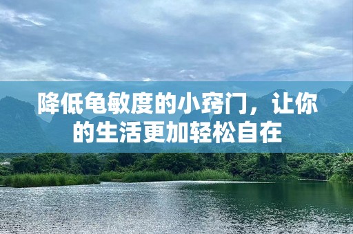 降低龟敏度的小窍门，让你的生活更加轻松自在