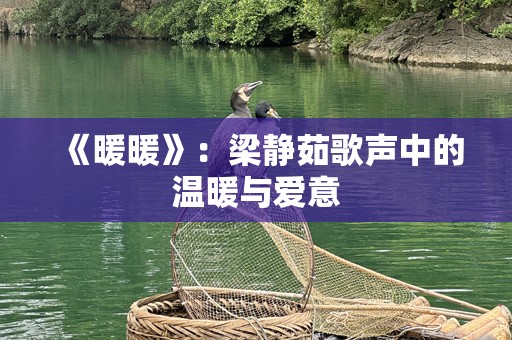 《暖暖》：梁静茹歌声中的温暖与爱意