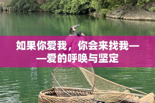 如果你爱我，你会来找我——爱的呼唤与坚定
