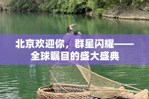 北京欢迎你，群星闪耀——全球瞩目的盛大盛典