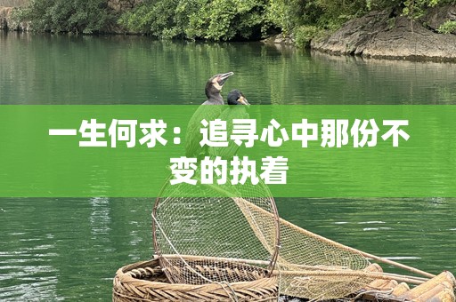 一生何求：追寻心中那份不变的执着