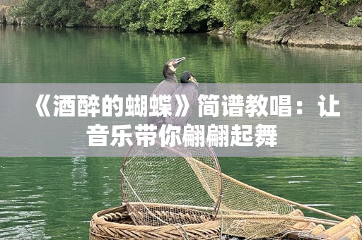 《酒醉的蝴蝶》简谱教唱：让音乐带你翩翩起舞