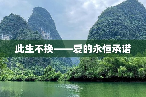 此生不换——爱的永恒承诺