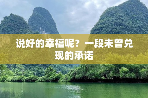说好的幸福呢？一段未曾兑现的承诺