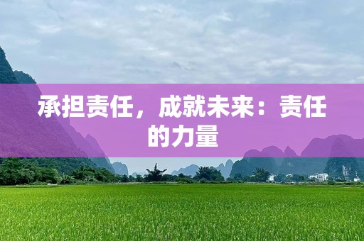承担责任，成就未来：责任的力量