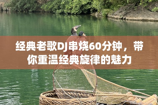 经典老歌DJ串烧60分钟，带你重温经典旋律的魅力