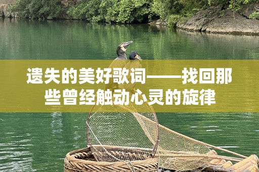 遗失的美好歌词——找回那些曾经触动心灵的旋律