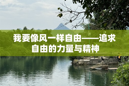 我要像风一样自由——追求自由的力量与精神