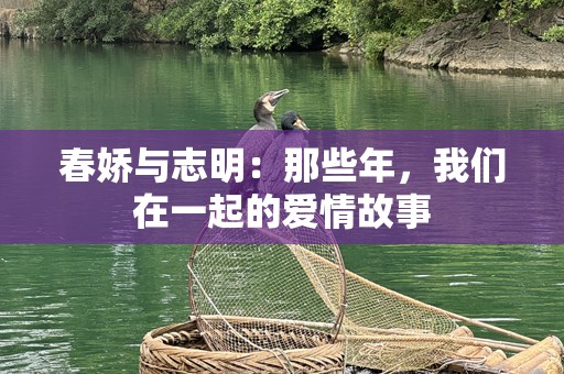 春娇与志明：那些年，我们在一起的爱情故事