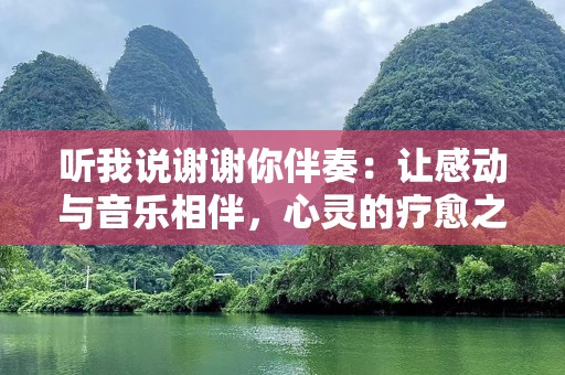 听我说谢谢你伴奏：让感动与音乐相伴，心灵的疗愈之旅