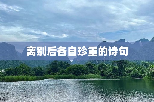 离别后各自珍重的诗句