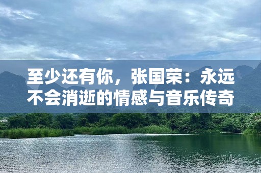 至少还有你，张国荣：永远不会消逝的情感与音乐传奇