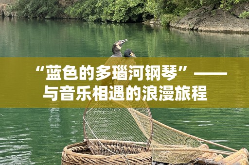 “蓝色的多瑙河钢琴”——与音乐相遇的浪漫旅程