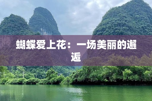 蝴蝶爱上花：一场美丽的邂逅