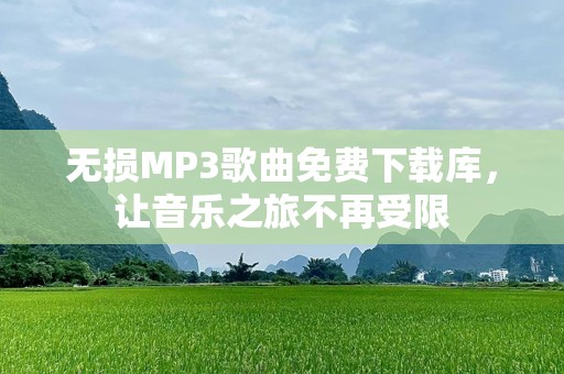 无损MP3歌曲免费下载库，让音乐之旅不再受限