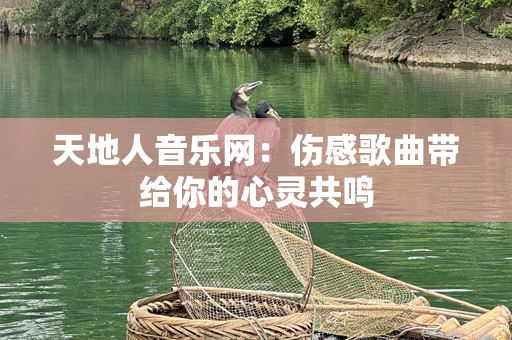 天地人音乐网：伤感歌曲带给你的心灵共鸣